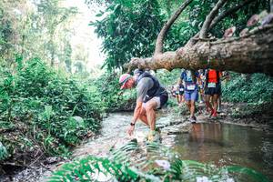 BIB: 
                            <button type="button" onclick="openModal(25458271)" class="btn btn-primary btn-sm float-right btn-popup" data-toggle="modal" data-target=".modal-high-quality">
                        <i class="fas fa-shopping-cart"></i> Add to Cart
                    </button>
                                            <button type="button" onclick="isThisMe(25458271, true)" class="btn btn-success btn-sm float-right btn-popup btn-isme hidden" data-toggle="tooltip" data-placement="bottom" title="นี่คือรูปของคุณใช่ไหม คลิกที่นี่เพื่อเอาเข้าอัลบั้ม">
                        <i class="fas fa-plus"></i> Add to album
                    </button>
                    <button type="button" onclick="isThisMe(25458271, false)" class="btn btn-warning btn-sm float-right btn-popup btn-isnotme hidden">
                        <i class="fas fa-ban"></i> Remove from album
                    </button>